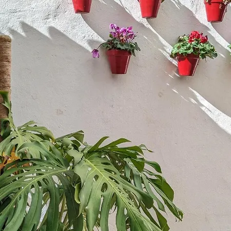 Harbor Getaway In The Heart Of Puerto Banus With Walking Dictance To Everything דירה מארבלה