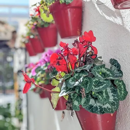 דירה Harbor Getaway In The Heart Of Puerto Banus With Walking Dictance To Everything