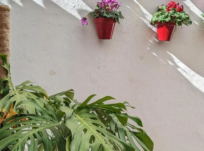 Harbor Getaway In The Heart Of Puerto Banus With Walking Dictance To Everything شقة ماربيا